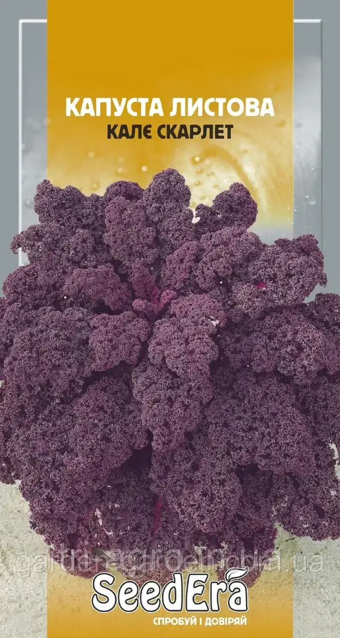 Капуста листова Кале Скарлет (фіолетова) 0,25г Seedera