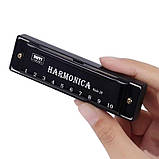 Гармошка губна гармоніка на 10 отворів титанова з чохлом Harmonica чорна (GS-184393), фото 9