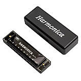 Гармошка губна гармоніка на 10 отворів титанова з чохлом Harmonica чорна (GS-184393), фото 3