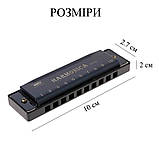 Гармошка губна гармоніка на 10 отворів титанова з чохлом Harmonica чорна (GS-184393), фото 2