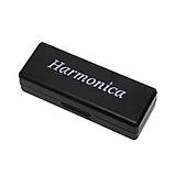 Гармошка губна гармоніка на 10 отворів титанова з чохлом Harmonica чорна (GS-184393), фото 6
