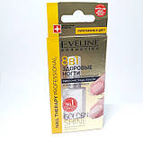 EVELINE 8 в 1 Здорові нігті високоефективний препарат для регенерації нігтів/засобів з догляду за нігтями, фото 2