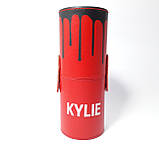 Набір 12 професійних пензликів для макіяжу/ шкіряний червоний тубус, фото 2