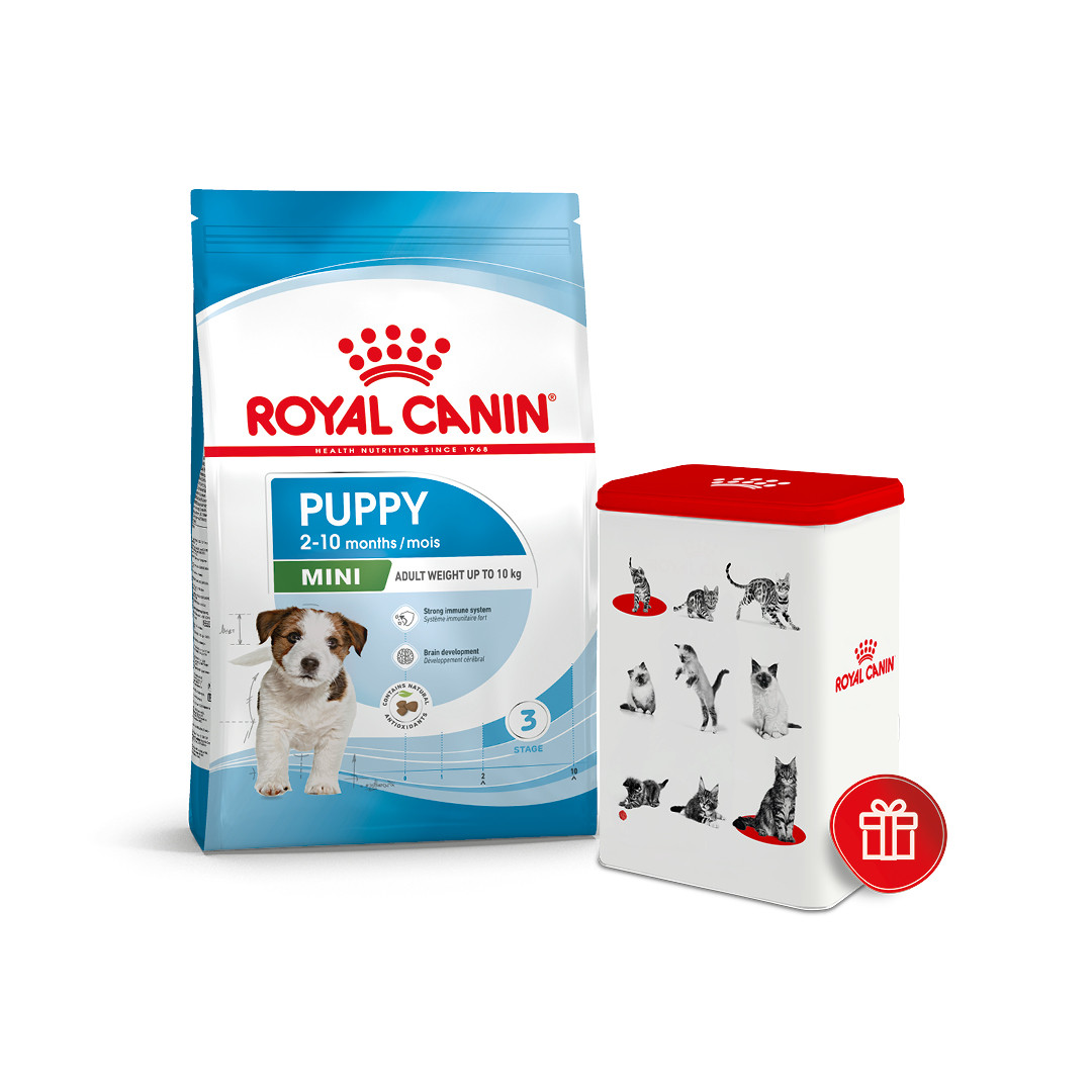 Корм для цуценят малих порід ROYAL CANIN MINI PUPPY 2кг + контейнер для зберігання сухого корму в подарунок