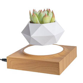 Магнітний левітаційний горщик для рослин HCNT Magnetic Levitating Pot M10-FP  Wood Grain SIM10-FP