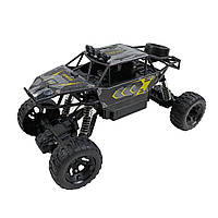 Машинка-позашляховик на радіокеруванні DriveX 2WD Чорний