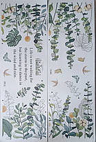 Вінілові наклейки VANSHE Зелене листя метелика (лист 60 х 90 см) Б83-34, фото 2