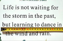 Вінілові наклейки VANSHE Зелене листя метелика (лист 60 х 90 см) Б83-34, фото 5