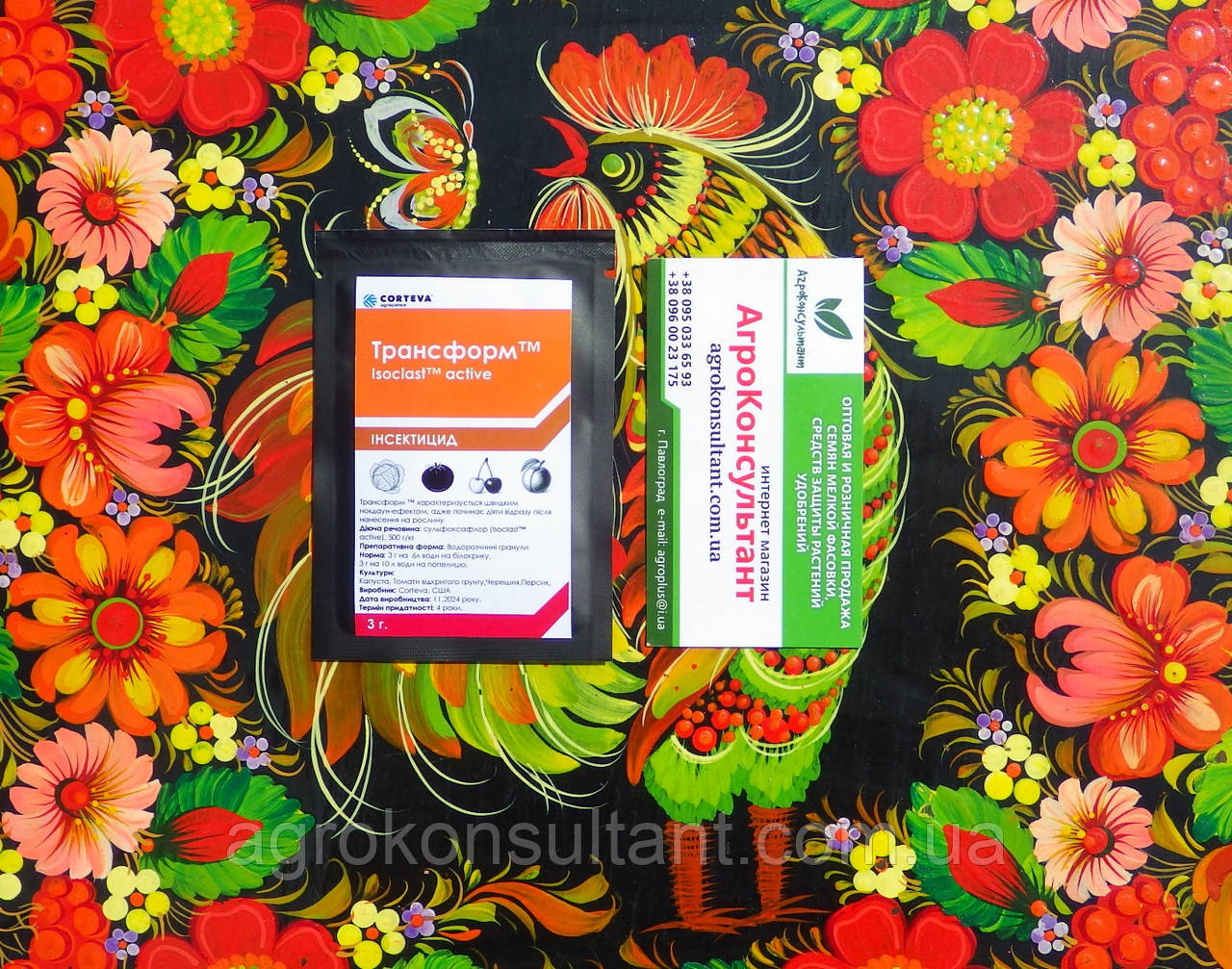 Қысқа шашты американдық порно жұлдыз