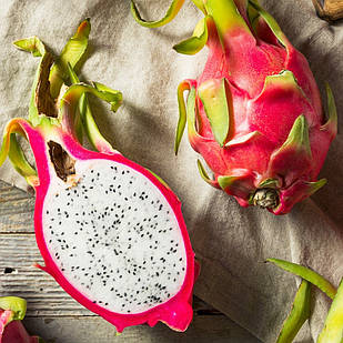 Саджанці Пітахайї або драконячий фрукт (Pitaya roja) Р9