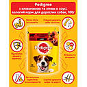 Корм Pedigree повнораційний для дорослих собак з яловичиною та ягням, 100г (Педігри), фото 4