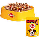 Корм Pedigree повнораційний для дорослих собак з яловичиною та ягням, 100г (Педігри), фото 6