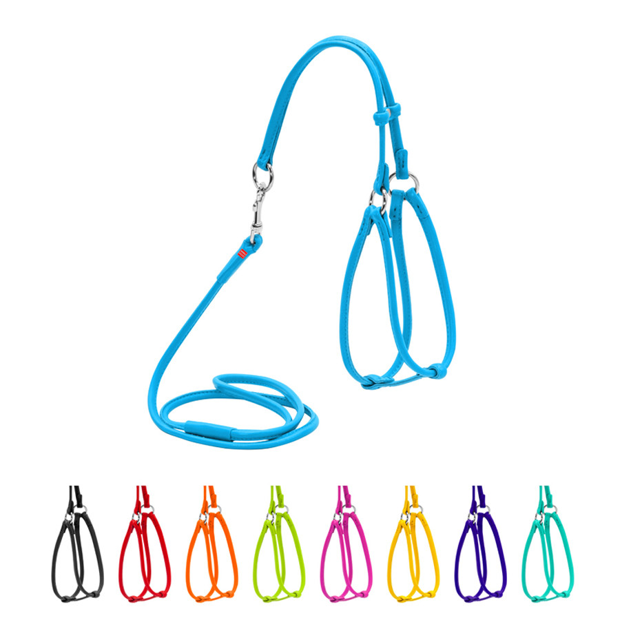 Шлея з повідцем для собак шкіряна WAUDOG Glamour з QR паспортом, кругла, Д 6 мм, А 26-46 см, В 30-50 см блакитний, фото 1