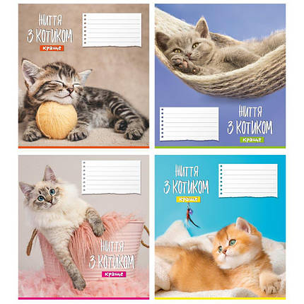 Зошит 12_арк. лінія "Поліграфіст"/ Життя з котиком, фото 1