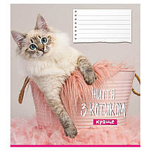 Зошит 12_арк. лінія "Поліграфіст"/ Життя з котиком, фото 5