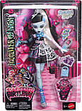 Monster High Scary Sweet Birthday Frankie Stein, фото 6