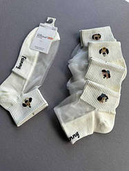 Шкарпетки жіночі літні, середні, бавовняні з капроновими вставками (розмір 36-41)