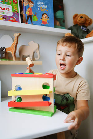 Дерев'яні іграшки