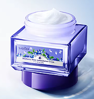 Крем для обличчя з чорницею Sadoer Blueberry Moist Antioxidation Cream, 60 мл