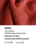 Пряжа мериносова Soul Рарі Fаbіо 2/17 какао, фото 4