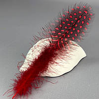 Пір'я курячі для рукоділля  5-10 см, ∼50шт - червоний