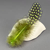 Пір'я курячі для рукоділля  5-10 см, ∼50шт - лайм