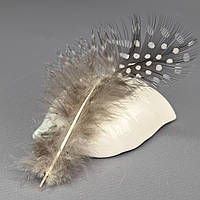 Пір'я курячі для рукоділля  5-10 см, ∼50шт - сірий