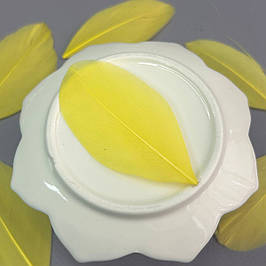 Пір'я гусячі