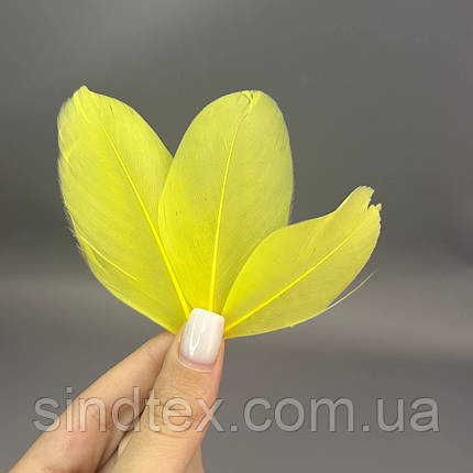 Пір'я гусячі для рукоділля  5-7 см, ∼50шт - жовтий, фото 2