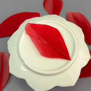 Пір'я гусячі для рукоділля  5-7 см, ∼50шт - червоний