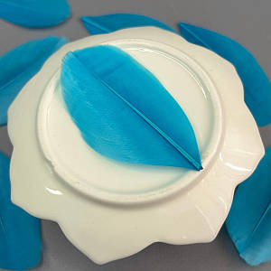 Пір'я гусячі для рукоділля  5-7 см, ∼50шт - лазуровий