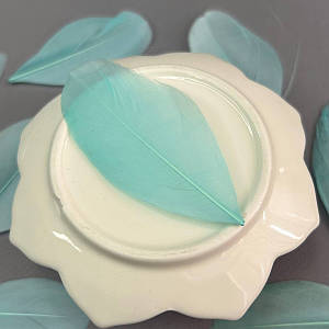 Пір'я гусячі для рукоділля  5-7 см, ∼50шт - м'ятний