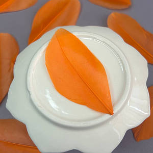 Пір'я гусячі для рукоділля  5-7 см, ∼50шт - помаранчевий