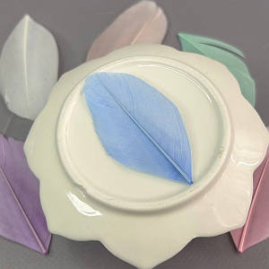 Пір'я гусячі для рукоділля  5-7 см, ∼50шт - пастельний мікс