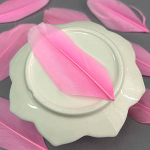 Пір'я гусячі для рукоділля  5-7 см, ∼50шт - рожевий