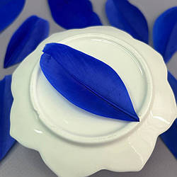 Пір'я гусячі для рукоділля  5-7 см, ∼50шт - електрик