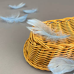 Пір'я гусячі для рукоділля 9-13 см, ∼95шт - блакитний