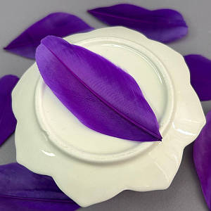 Пір'я гусячі для рукоділля  5-7 см, ∼50шт - фіолетовий