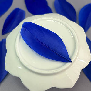 Пір'я гусячі для рукоділля  5-7 см, ∼50шт - електрик