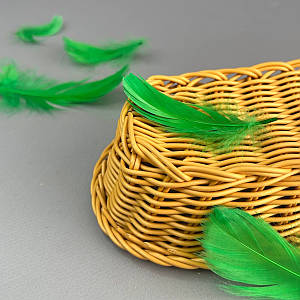 Пір'я гусячі для рукоділля 9-13 см, ∼95шт - зелений