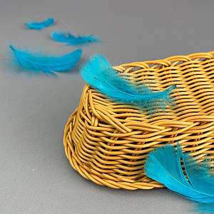 Пір'я гусячі для рукоділля 9-13 см, ∼95шт - лазуровий