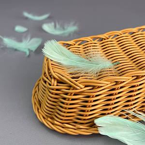 Пір'я гусячі для рукоділля 9-13 см, ∼95шт - м'ятний