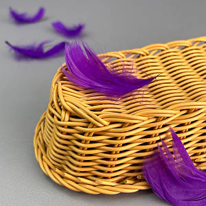 Пір'я гусячі для рукоділля 9-13 см, ∼95шт - фіолетовий