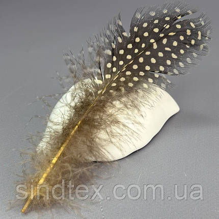 Пір'я курячі для рукоділля  5-10 см, ∼50шт - бежевий, фото 1