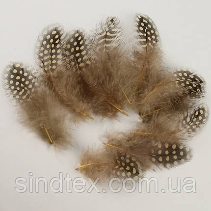 Пір'я курячі для рукоділля  5-10 см, ∼50шт - бежевий, фото 2