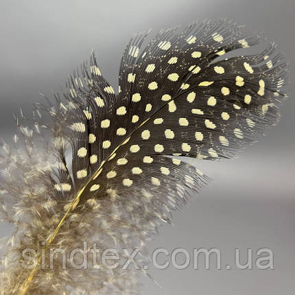 Пір'я курячі для рукоділля  5-10 см, ∼50шт - бежевий, фото 3