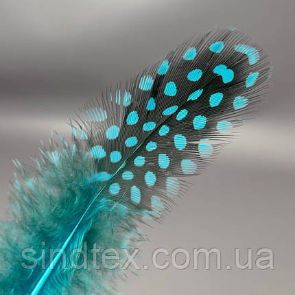 Пір'я курячі для рукоділля 5-10 см, ∼50шт - лазуровий, фото 3