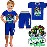 Футболка та бриджі Монстр р.32  09.19.02, фото 3
