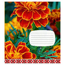 Зошит 24 арк. клітинка "Поліграфіст" / Квіти, фото 4