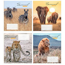 Зошит 24 арк. клітинка "Поліграфіст" / Саванна